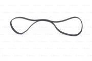 Bosch 1987947949 V-Ribbed Belts